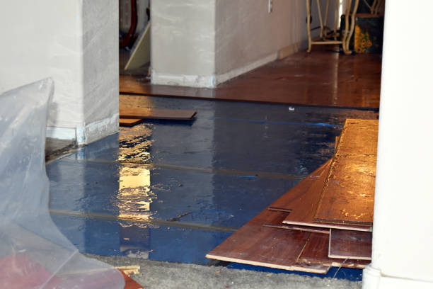 Professional Flood Damage Repair technician working in Kerman, CA
